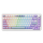 Klawiatura Ajazz AK820 MAX Magnetic switches Purple White RGB